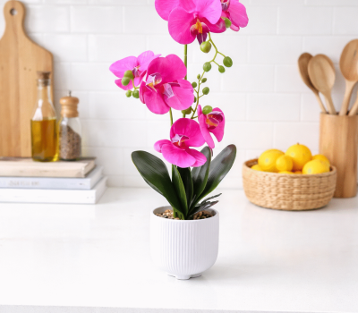 Vasos decorativos orquídeas ref 050